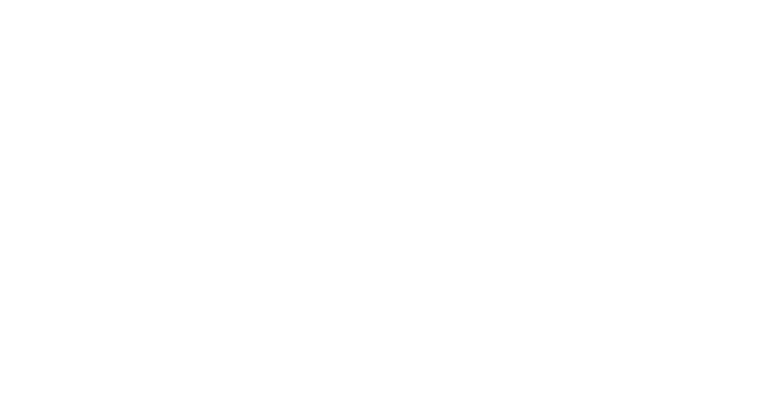 siemes